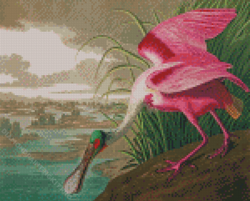 Pink Audubon Bird Diamond Paintings