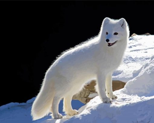 Polar Fox Art Diamond Paintings