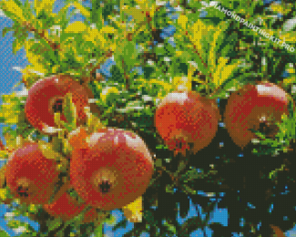 Pomegranate Fruit Tree Diamond Paintings
