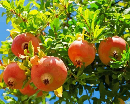 Pomegranate Fruit Tree Diamond Paintings