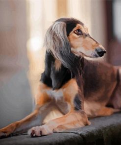 Saluki Dog Sitting Diamond Paintings