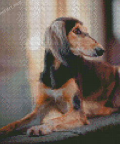 Saluki Dog Sitting Diamond Paintings