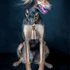 Saluki Dog Diamond Paintings