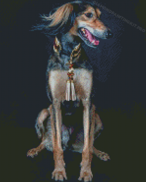 Saluki Dog Diamond Paintings