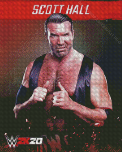 Scott Hall Poster Diamond Paintings