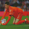 The Goalkeeper Illan Meslier Diamond Paintings