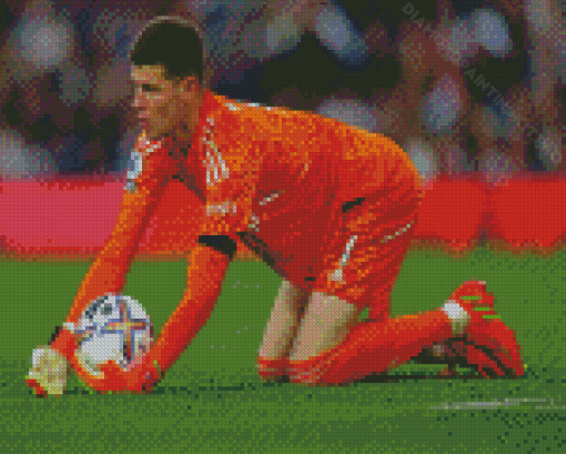 The Goalkeeper Illan Meslier Diamond Paintings