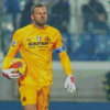 The Goalkeeper Samir Handanovic Diamond Paintings