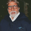The Indian Actor Amitabh Bachchan Diamond Paintings