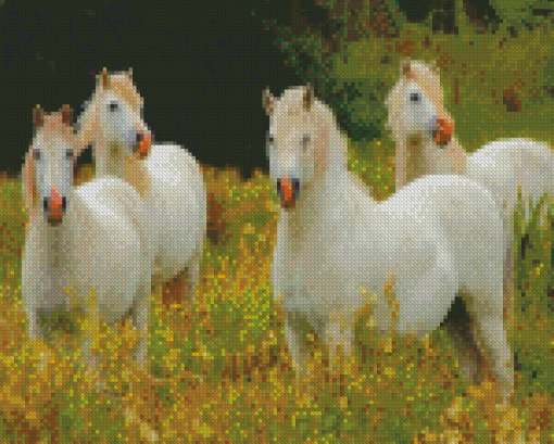 White Group Of Horses Diamond Paintings