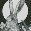 Black And White Hare Moon Diamond Paintings