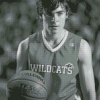 Black And White Troy Bolton Diamond Paintings