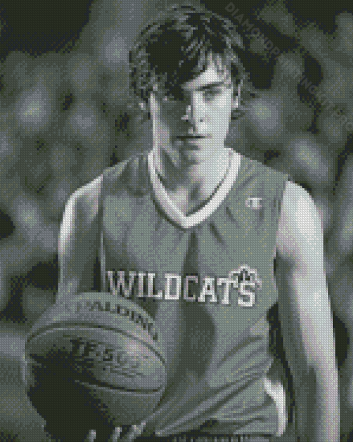 Black And White Troy Bolton Diamond Paintings