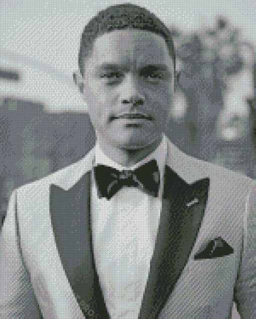 Black And White Trevor Noah Comedian Diamond Paintings