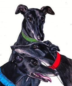 Black Greyhounds Dogs Diamond Paintings