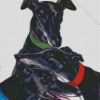 Black Greyhounds Dogs Diamond Paintings