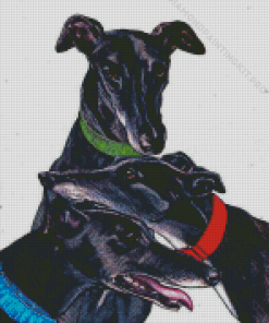 Black Greyhounds Dogs Diamond Paintings