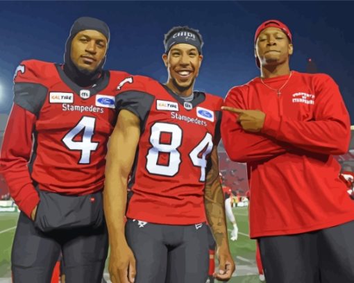 Calgary Stampeders Canadian Team Diamond Paintings