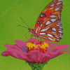 Colorful Butterfly On Rose Diamond Paintings