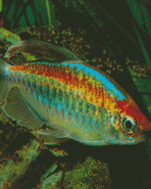 Congo Tetra Tropical Fish Diamond Paintings