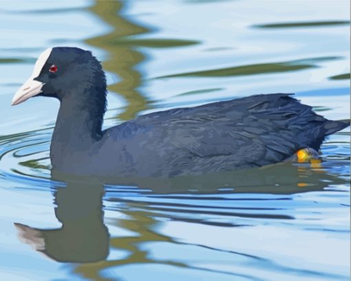 Coot Swimming In Lake Diamond Paintings