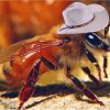 Cowboy Bee Diamond Paintings