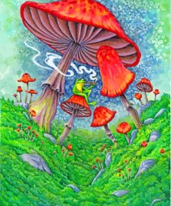 Frog And Mushrooms Diamond Paintings
