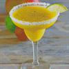 Fruity Margaritas Drink Diamond Paintings