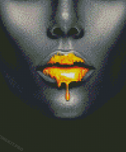 Golden Lips Diamond Paintings