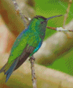 Green Hummingbird Diamond Paintings
