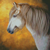 Grey Icelandic Pony Diamond Paintings