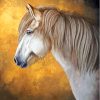 Grey Icelandic Pony Diamond Paintings