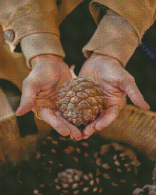 Hands Holding Pinecone Diamond Paintings