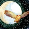 Owl Moon Diamond Paintings