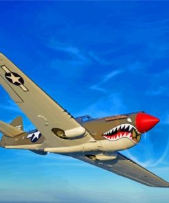 P 40 Warhawk Diamond Paintings