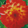 Red Orange Dahlia Flowering Plant Diamond Paintings