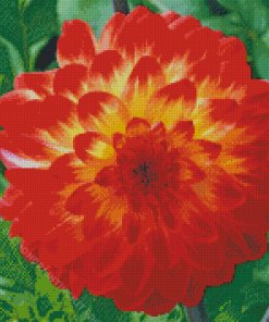 Red Orange Dahlia Flowering Plant Diamond Paintings