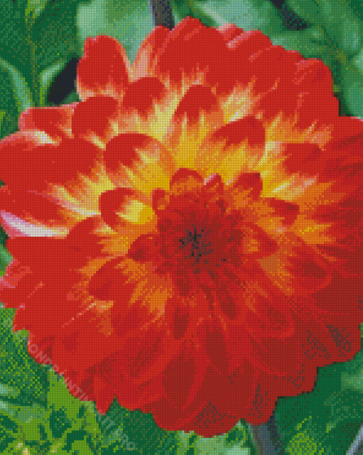 Red Orange Dahlia Flowering Plant Diamond Paintings