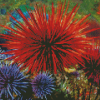 Sea Urchins Diamond Paintings