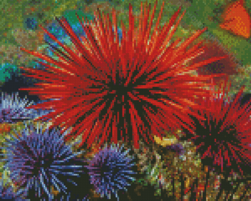 Sea Urchins Diamond Paintings