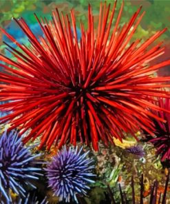 Sea Urchins Diamond Paintings