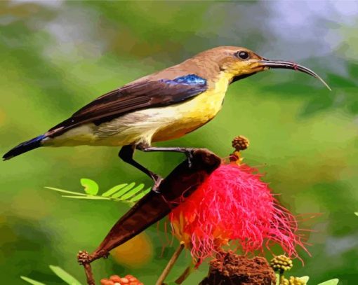 Sunbird Bird On A Flower Diamond Paintings