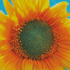 Sunflower Blue Sky Diamond Paintings