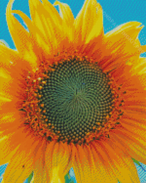 Sunflower Blue Sky Diamond Paintings