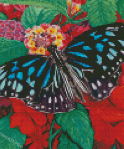 The Blue Tiger Butterfly Diamond Paintings