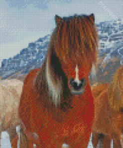 The Icelandic Ponies Diamond Paintings