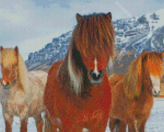 The Icelandic Ponies Diamond Paintings