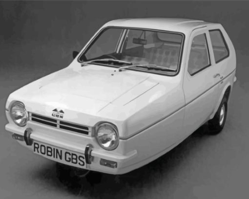 White Robin Reliant Car Diamond Paintings