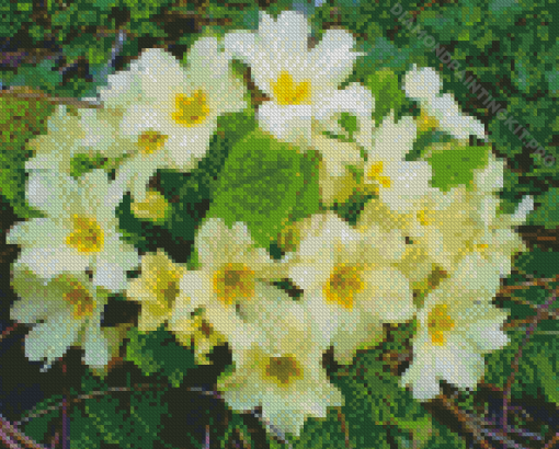 Yellow Primrose Diamond Paintings