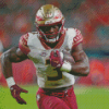 Aesthetic FSU football Diamond Paintings